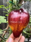 Sophias Sweet Caramel 12 Seeds limited stock Rare Heirloom Tomato Seeds