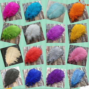 6-24inch Wholesale 10-100pcs high quality natural ostrich feathers 15-60cm 