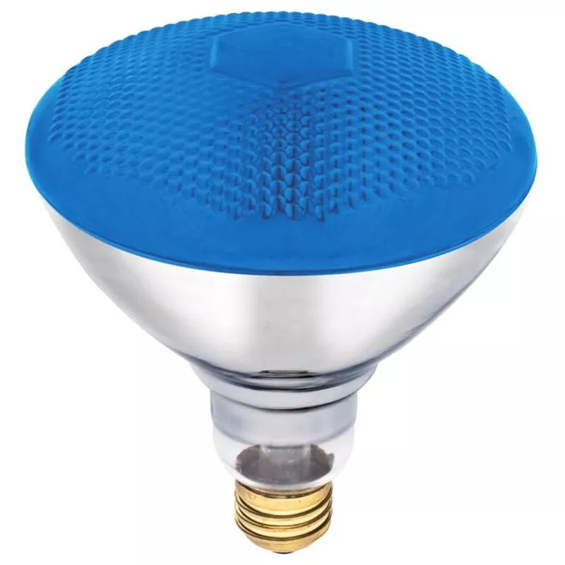R38 bulb on sale