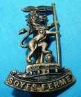 WW1 NEW ZEALAND SOYES FERME RIFLES REGIMENT MILITARY COLLAR BADGE WORLD WAR I