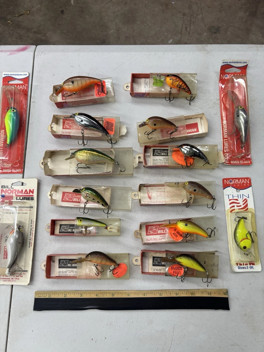 Leurre Vintage Bill Norman BIG N 1815 – Os Original Dans Boîte