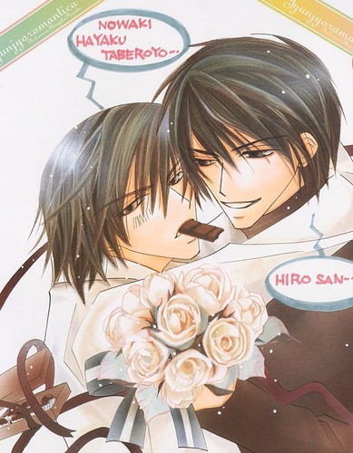 Póster Junjou Junjo Romantica anime Kamijou Hiroki Kusama Nowaki Yaoi BL - Imagen 2 de 2