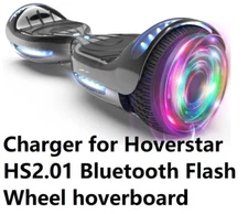🔥29.4V Adapter Charger for hoverstar HS2.01 Bluetooth Flash Wheel hoverboard