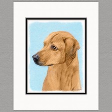 Rhodesian Ridgeback Dog Original Art Print 8x10 Matted to 11x14