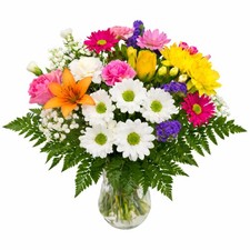 Homeland Florists Fresh Flowers – Bright Large, Multicoloured