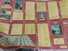 Bild 9 von 14