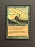 Quirion Dryad Planeshift NM-/LP MTG Magic the Gathering c