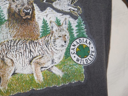T-SHIRT VINTAGE ANNI 80 90 FAUNA SELVATICA CANADESE PUNTO SINGOLO COYOTE ALCE OCHE tg L - Foto 4 di 12