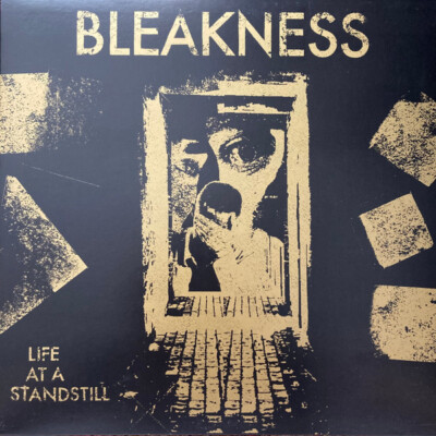 BLEAKNESS - LIFE AT A STANDSTILL LP, post/wavepunk, chain cult, oi boys, litovsk