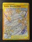 Carte Pokémon Sentier 213/189 Gold EB10 Astres Radieux Epee Et Bouclier