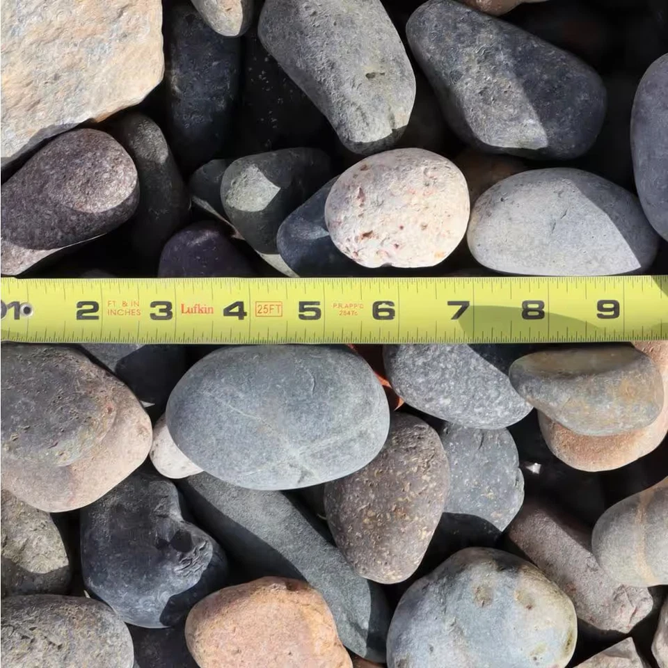 1 In. to 3 In. Medium Mixed Mexican Beach Pebble (500 Lbs. Mini Sack) Foto 3 de 4