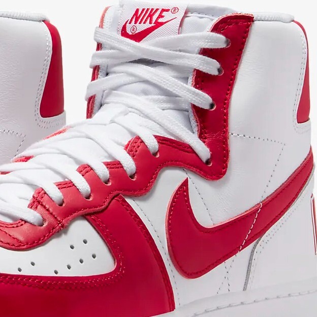 NIKE TERMINATOR HIGH (SIZE 11.5)