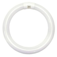 New FC12T9/CW/RS 12" Circline Cool White Fluorescent Lamp 32 watt Light Bulb