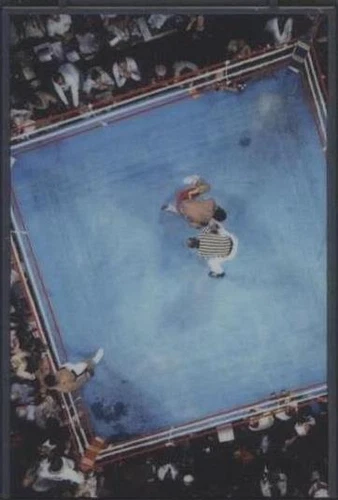 2011 Leaf Metal Ali - Muhammad Ali #38