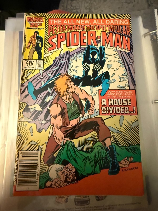 Peter Parker The Spectacular Spider-Man #113