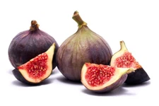 100+ Texas Blue Giant Fig Seeds for Garden Planting - USA - FREE SHIPPING!