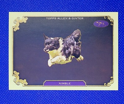Allen and Ginter 2024 Nimble #SOS-34 Stars of the Show