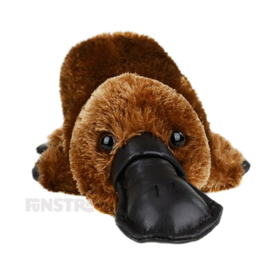 Platypus Silky Plush Soft Toy Platypus Toys Australian Stuffed