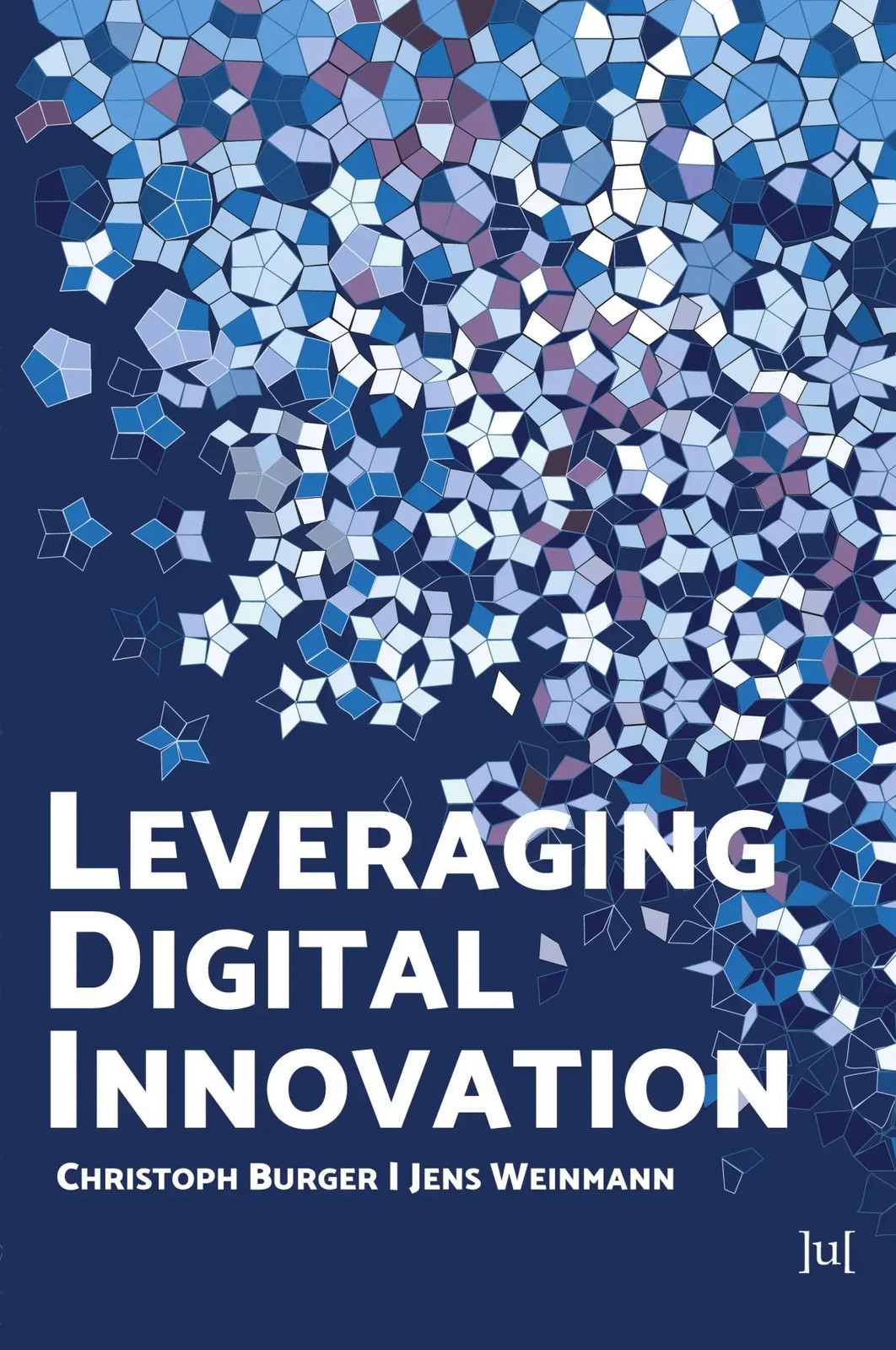 Christoph Burger (u. a.) | Leveraging Digital Innovation | Taschenbuch (2024)