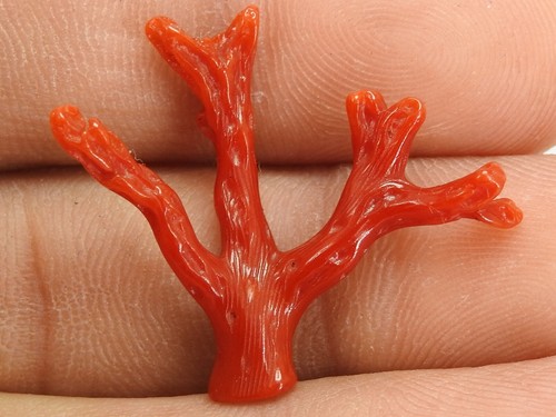 Natural Red Coral Polished Rough Stick For Jewelry Making 26X5MM - Picture 8 of 8