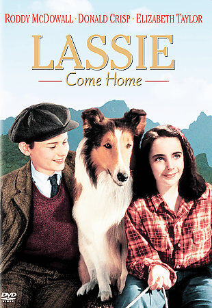 Buy Lassie - A Christmas Tale (2005) DVD