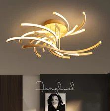 Dia 50/60/80/100cm LED acrylic flush ceiling lamp restaurant lobby lighting Yc