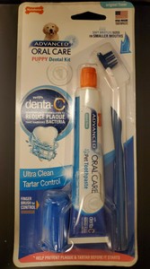 nylabone dental kit