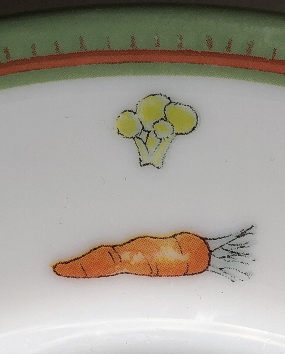 Duo Assiette Arcopal France Modèle Potager Sophie Montfort Verre Floral