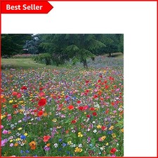 Transform Your Garden: 100% UK Wildflower Seed Mix - Buy 2 Get 2 Free!