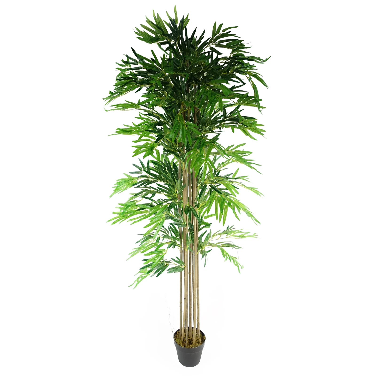 180cm Bamboo - 40568