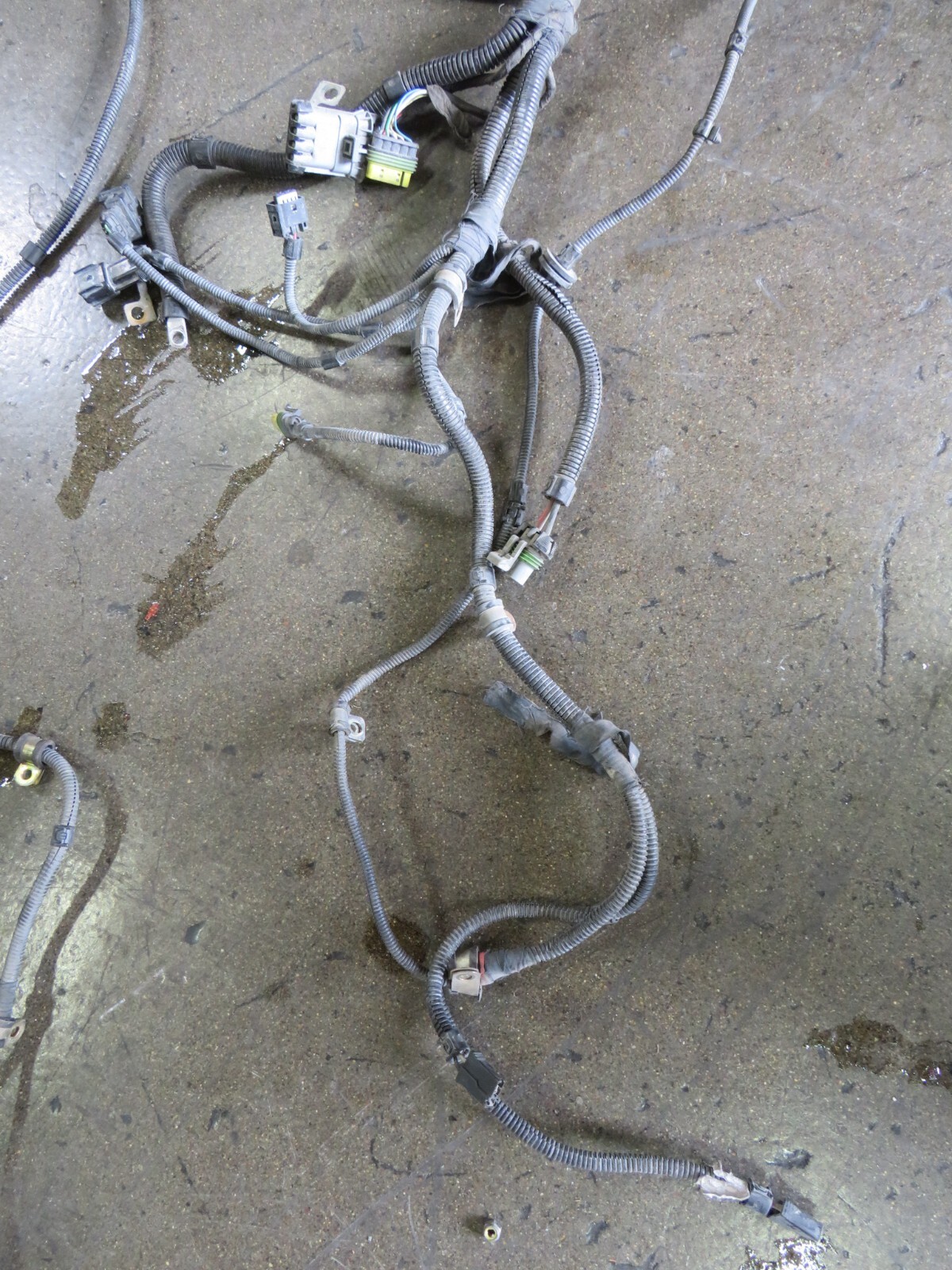 Ferrari 575, Front Main Wire Harness, Used, P/N 200682