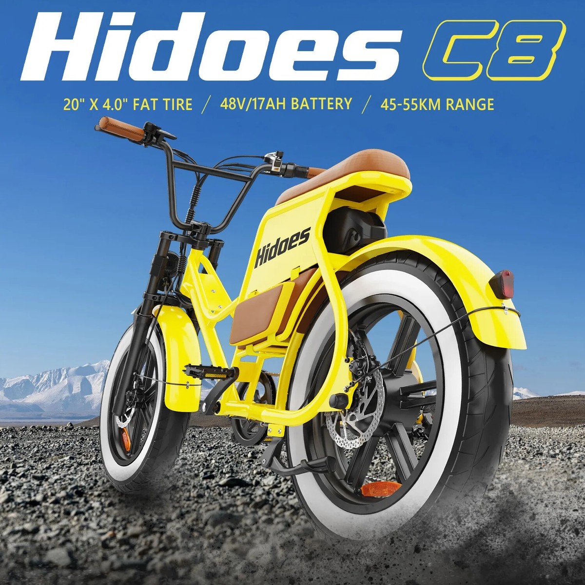 Hidoes C8 Elektrofahrrad 700W 48V 17Ah E-Bike 20