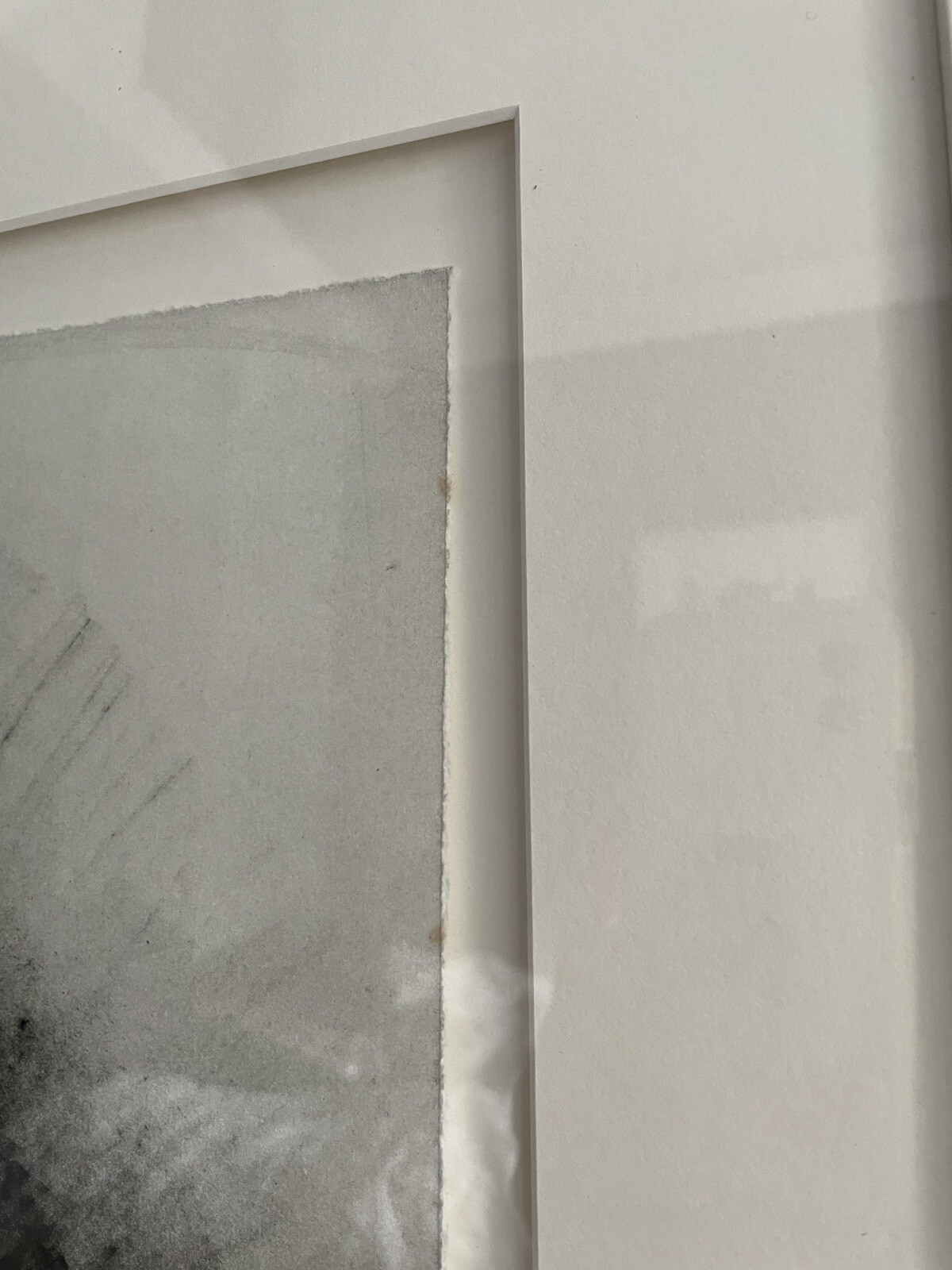 Picture 5 of 12