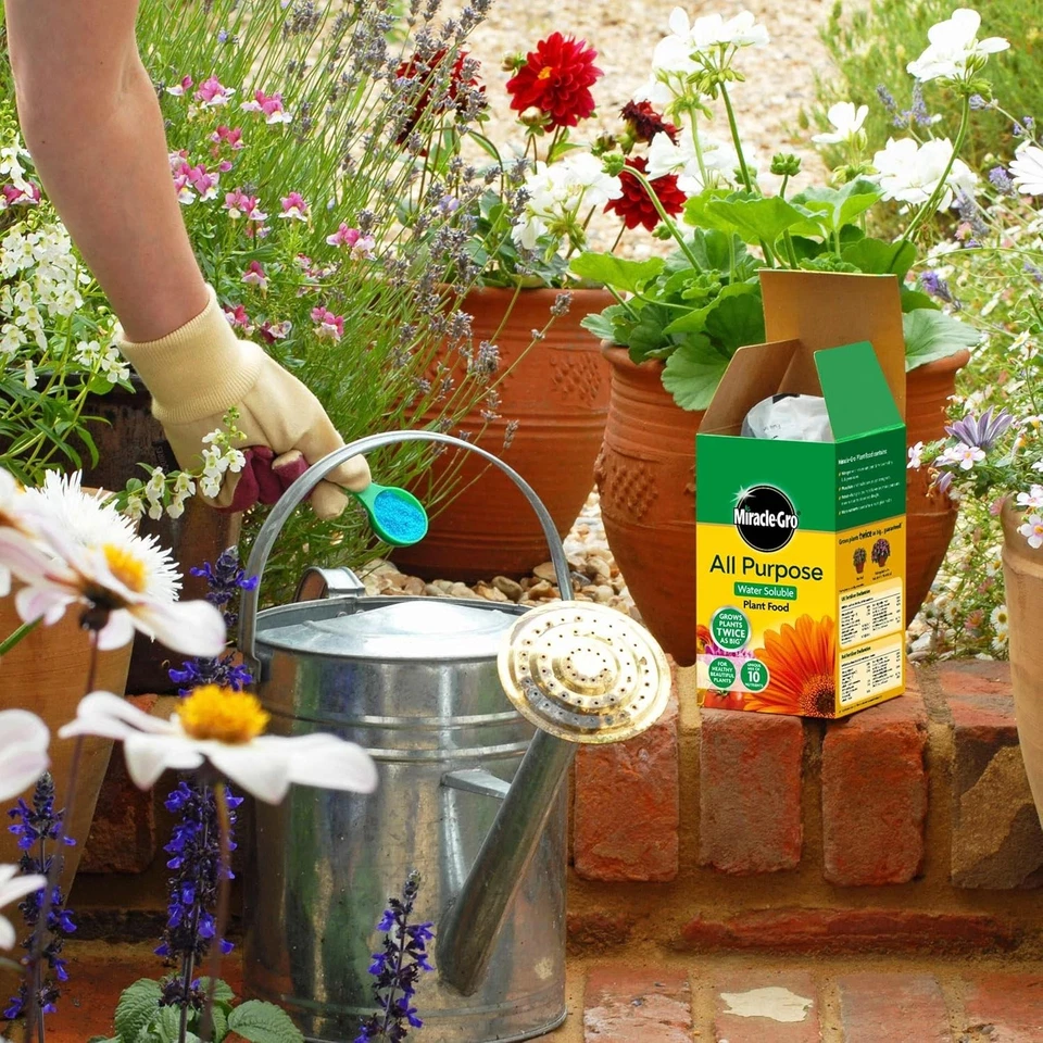 Miracle-Gro All Purpose Soluble Plant Food Fertiliser, 1kg - image 2 of 4