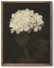 XOCUUI Unframed Wall Art for Living Room Decoration Canvas Wall Art Room Deco...