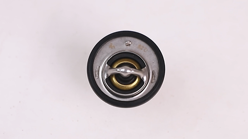 New Thermostat W/ O-Ring Fits Honda Talon 1000 2021-2023 - Video 1 di 1