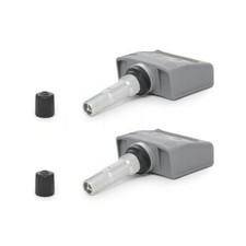 2x Original Schrader Radsensor Reifendruck Renault Espace IV Laguna II 2,0 dci