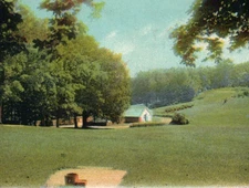 Insane Lunatic Asylum Taunton MA Massachusetts Golf Course Postcard