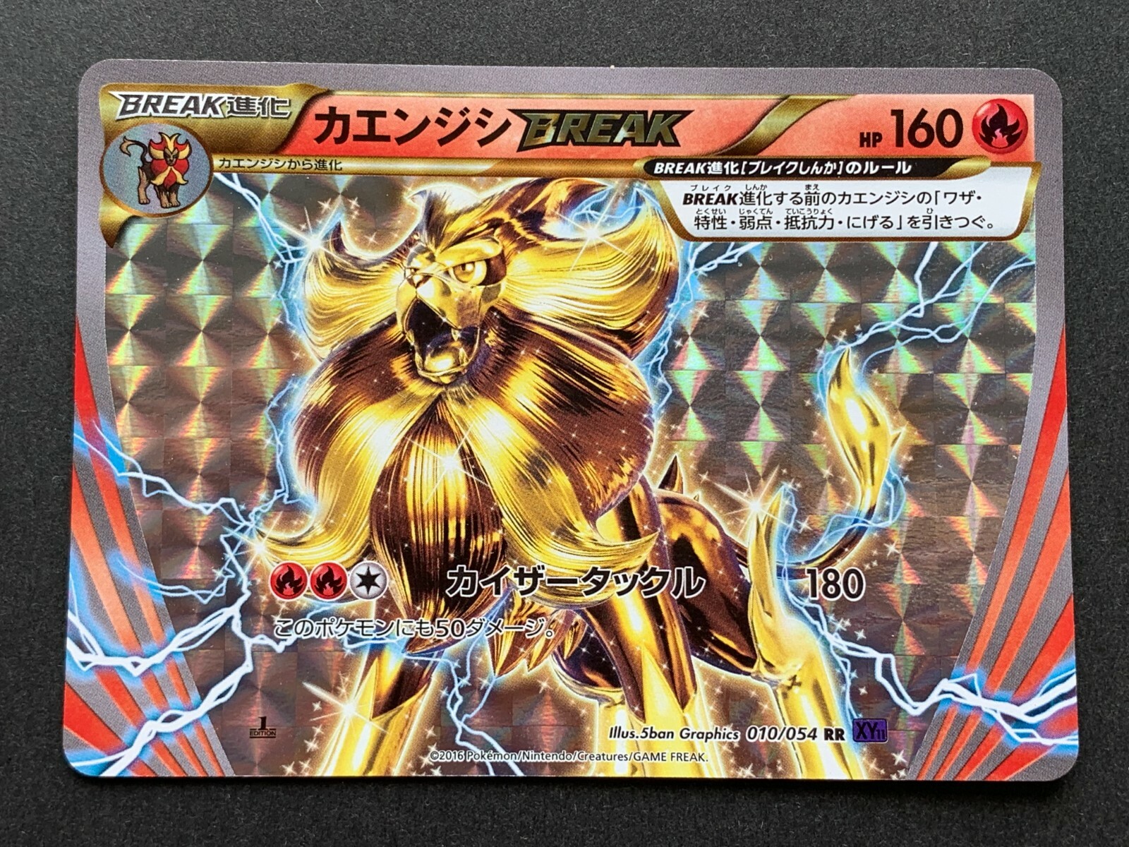 Pokemon card Pyroar 010/054 RR 1st 2016 Japanese Nintendo Pocket Monster RARE