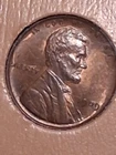 1909-P LINCOLN CENT. MS/ BU/ RB. CHOICE. ORIGINAL. PRISTINE.