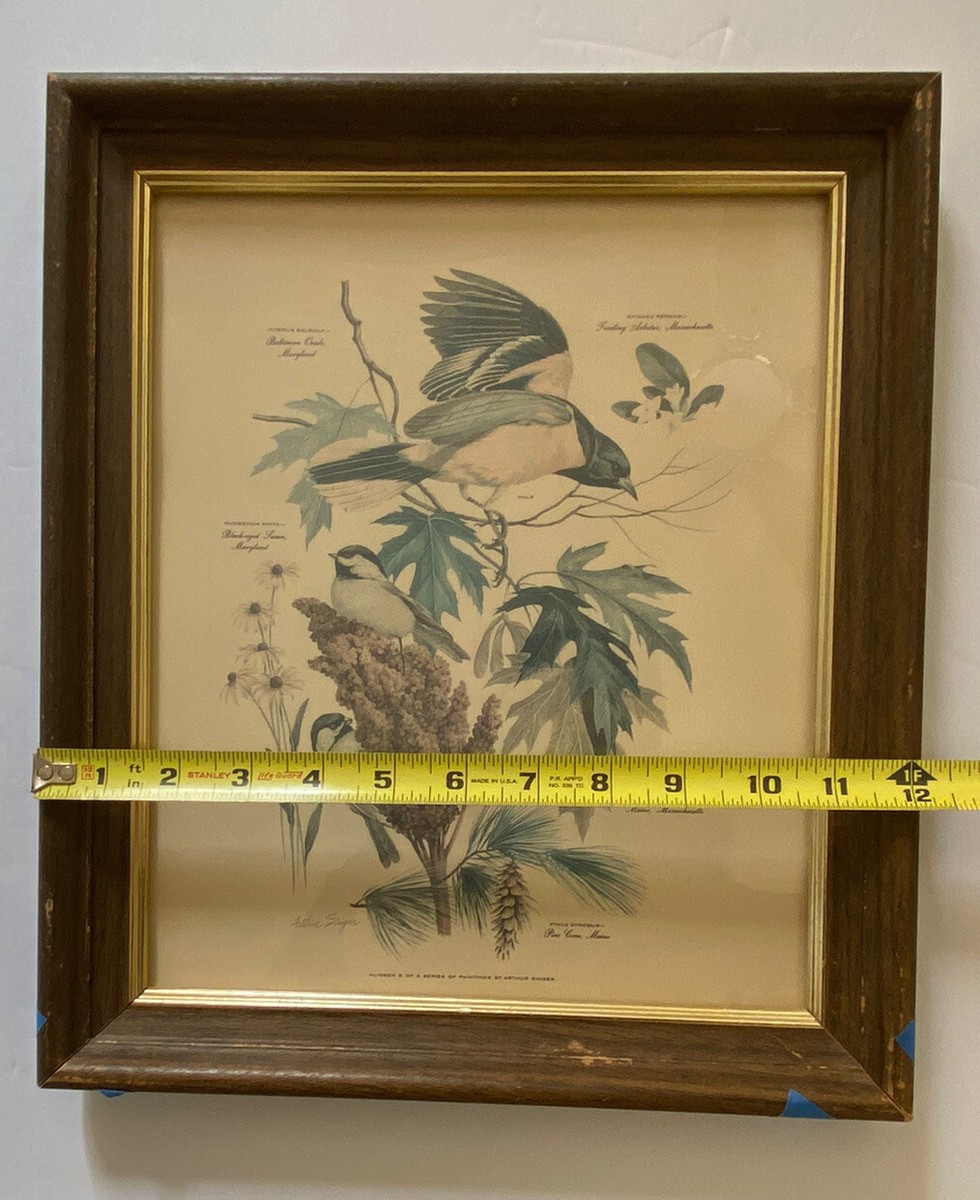 Vtg. Arthur Singer Framed Print Willow Goldfinch 6 Of A Series 12