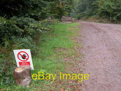 Logging in Pwllplythin Wood Warning sign in forestry Commission c2006
