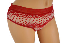 .VTG VICTORIA'S SECRET MESH LACE HIPHUGGER PANTY S