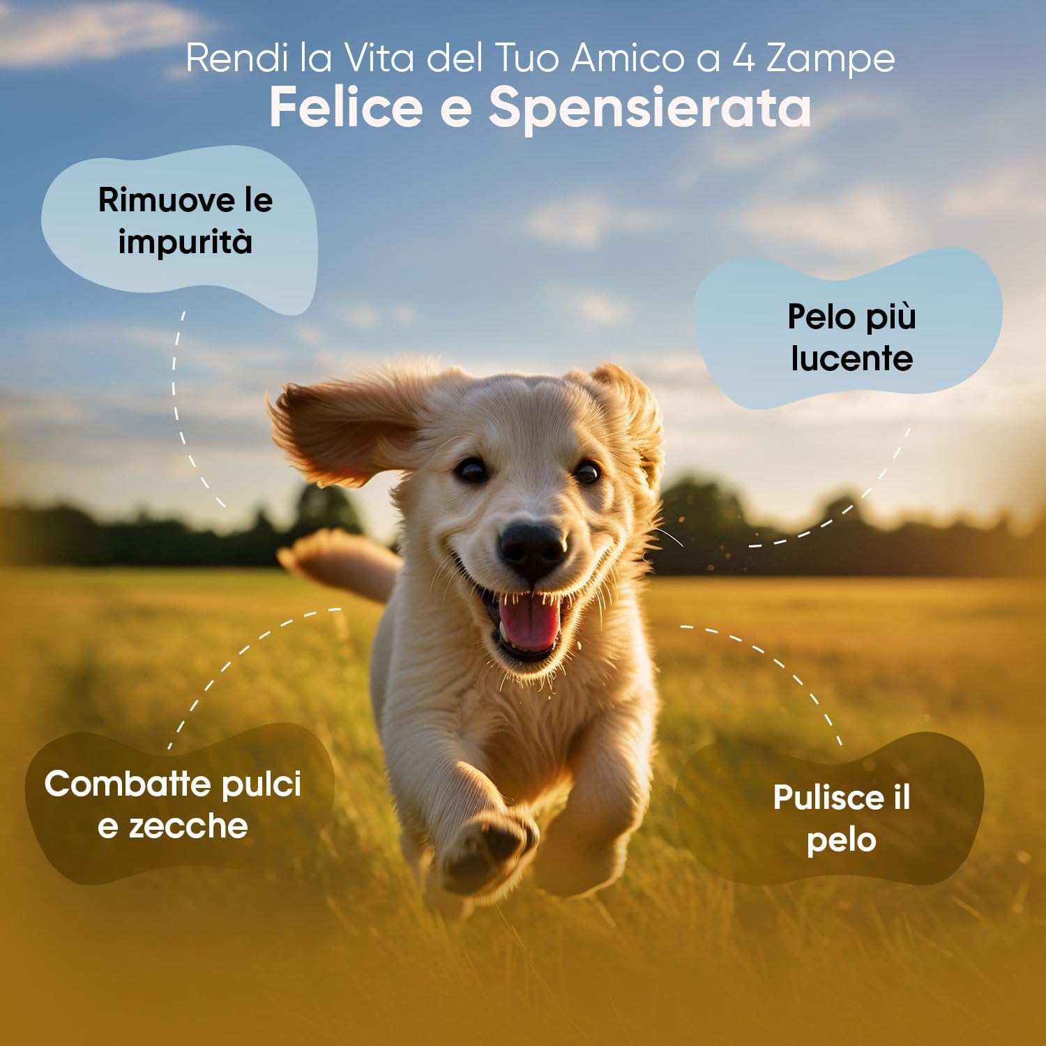 Shampoo Antiparassitario Cani e Gatti 500ml - Trattamento Professionale - 2