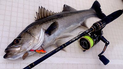Abu Garcia XROSSFIELD XRFC-702M Medium Fishing Baitcasting Rod EMS
