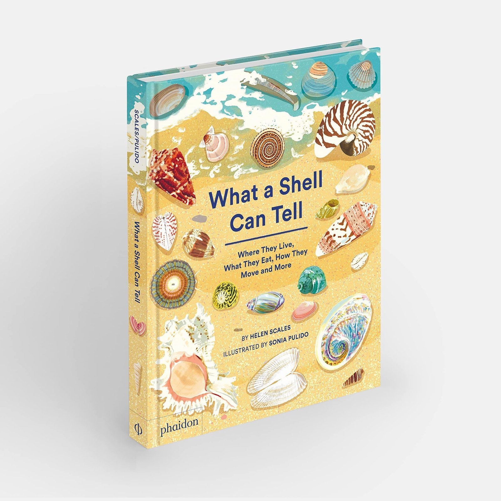 Thumbnail - What A Shell Can Tell | Helen Scales (u. A.) | Englisch | Buch | 48 S.