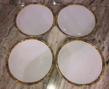 Pier 1 Set Of 4 White With Bamboo Rim 11” Plastic Dinner Plates-Dishwasher Safe