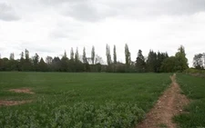 Photo 6x4 Path to Canon Frome On the route of the old road from Homend fa c2009