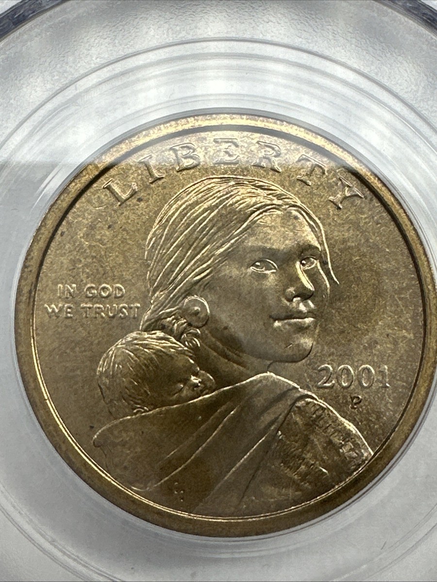2001-P Sacagawea Dollar, Mint Error Experimental Rinse, Anti