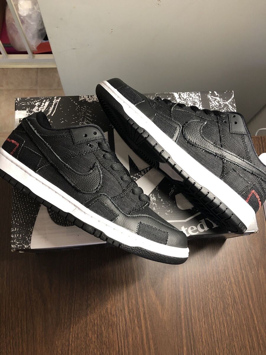 Nike SB dunk Low Wasted Youth (special box)